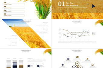 農產品農業發展工作總結PPT模板