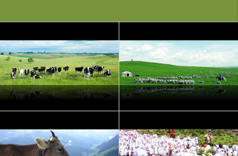 以畜牧業為主的農業地域類型ppt地理課件