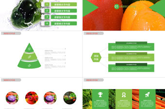 有機水果健康養生蔬菜果園品牌宣傳總結計劃