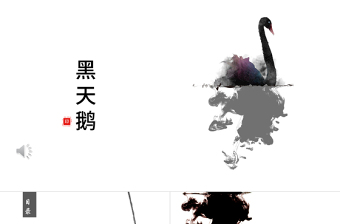 中國風(fēng)黑天鵝