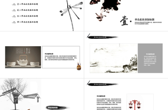 中國風(fēng)黑天鵝