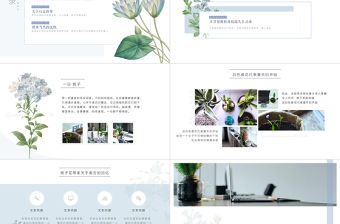清新簡(jiǎn)潔植物手繪通用ppt模板