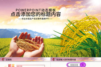 農(nóng)業(yè)生產(chǎn)水稻播種新農(nóng)村建設PPT