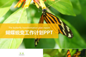 蝴蝶蛻變商務(wù)工作計劃通用PPT模板