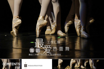 舞蹈培訓(xùn)學(xué)校中心工作總結(jié)匯報ppt