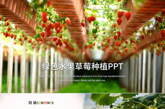 綠色水果草莓種植大棚草莓ppt模板