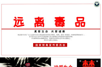 【完整內(nèi)容】國(guó)際禁毒日珍愛(ài)生命遠(yuǎn)離毒品禁毒知識(shí)教育PPT課件模板