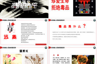 【完整內(nèi)容】國(guó)際禁毒日珍愛(ài)生命遠(yuǎn)離毒品禁毒知識(shí)教育PPT課件模板