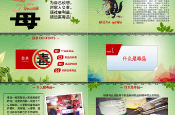 國(guó)際禁毒日遠(yuǎn)離毒品珍愛生命拒絕誘惑禁毒日PPT模板