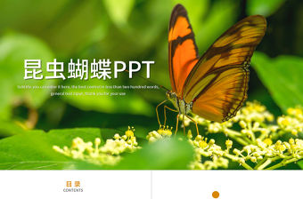 昆蟲蝴蝶蛻變商務(wù)匯報總結(jié)計劃PPT模板