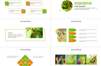 昆蟲蝴蝶蛻變商務(wù)匯報總結(jié)計劃PPT模板