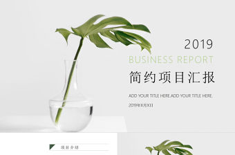 簡(jiǎn)約項(xiàng)目匯報(bào)PPT模板