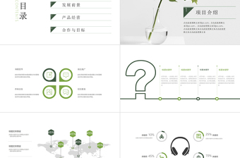 簡(jiǎn)約項(xiàng)目匯報(bào)PPT模板