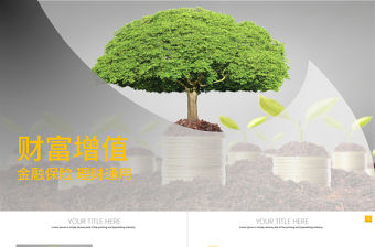 創意金融保險投資理財PPT