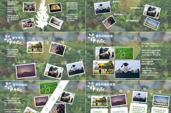 小清新大方風(fēng)格畢業(yè)紀(jì)念相冊ppt模板