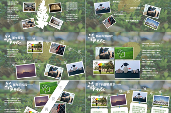 小清新大方風(fēng)格畢業(yè)紀(jì)念相冊(cè)ppt模板