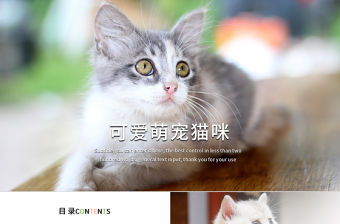 可愛萌寵貓咪寵物店動態ppt模板