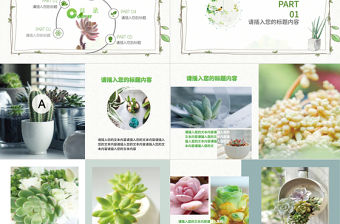 清新唯美綠色企業(yè)求職招聘多肉植物PPT