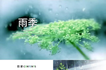 開場視頻清新雨季下雨天ppt模板