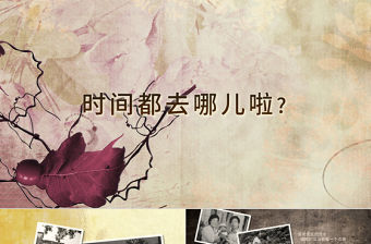 時(shí)間都去哪兒啦140606PPT (Web)