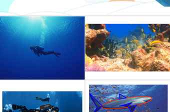 嶺南版美術(shù)一下第2課海底世界多奇妙課件ppt