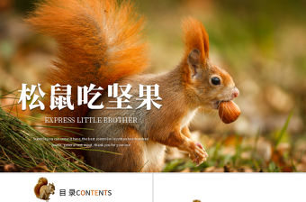 原創動物松鼠吃松果保護動物動態ppt模板