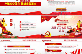 原創(chuàng)簡(jiǎn)約不忘初心牢記使命中央政治局第十五次集體學(xué)習(xí)PPT-版權(quán)可商用