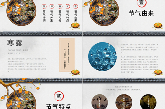 二十四節(jié)氣之寒露灰白色簡約PPT模板