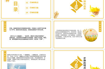 二十四節氣民俗介紹芒種PPT模板