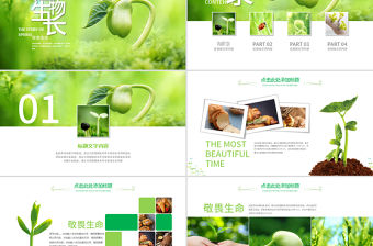原創(chuàng)開場視頻小樹苗生長發(fā)芽成長春天ppt模板-版權(quán)可商用