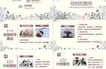 唯美小清新花藝百科花藝培訓(xùn)插花基本技能培訓(xùn)課件PPT模版