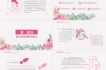 全國母乳喂養(yǎng)PPT