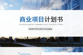簡(jiǎn)約通用商業(yè)項(xiàng)目計(jì)劃書PPT模板