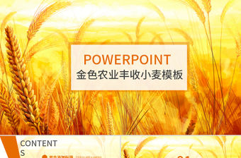 金秋農業水稻新農村小麥農田豐收PPT模板