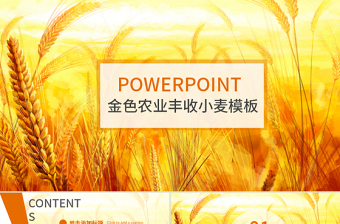 金秋農(nóng)業(yè)水稻新農(nóng)村小麥農(nóng)田豐收PPT模板
