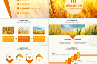 金秋農(nóng)業(yè)水稻新農(nóng)村小麥農(nóng)田豐收PPT模板