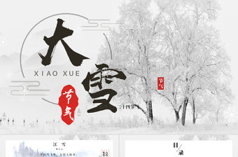 二十四節(jié)氣之大雪白色簡約PPT模板