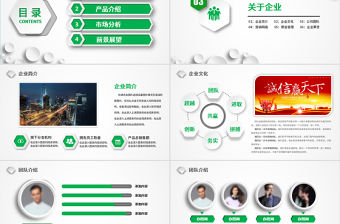 綠色公司產(chǎn)品介紹企業(yè)品牌宣傳營銷推廣PPT模板