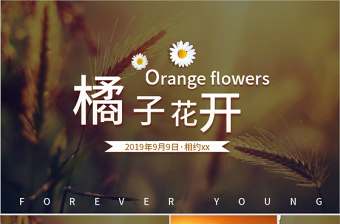 唯美同學(xué)聚會畢業(yè)紀(jì)念相冊ppt