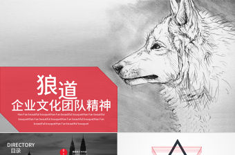 企業文化團隊精神執行力培訓ppt模板幻燈片