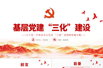 極簡風基層黨建三化建設的實施方案黨課PPT模板