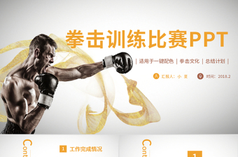 動(dòng)感拳擊比賽自由格斗搏擊MMA比賽ppt