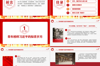 接青春之火續(xù)百年榮光PPT精美創(chuàng)意強化責任擔當堅定愛黨愛國信念青少年主題團日團課課件