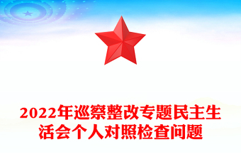 2022年巡察整改專題民主生活會個人對照檢查問題