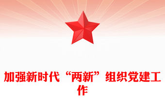 2023加強新時代“兩新”組織黨建工作PPT黨政風新時代黨的基層組織建設專題黨課(講稿)