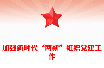 2023加強(qiáng)新時(shí)代“兩新”組織黨建工作PPT黨政風(fēng)新時(shí)代黨的基層組織建設(shè)專題黨課(講稿)