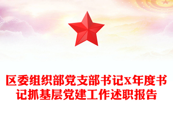 區(qū)委組織部黨支部書記X年度書記抓基層黨建工作述職報(bào)告