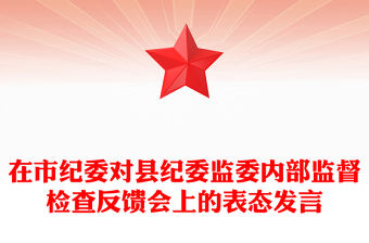 在市紀委對縣紀委監委內部監督檢查反饋會上的表態發言