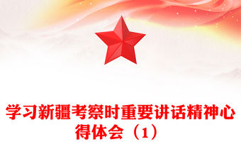 學習新疆考察時重要講話精神心得體會（1）