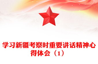 學(xué)習(xí)新疆考察時重要講話精神心得體會（1）